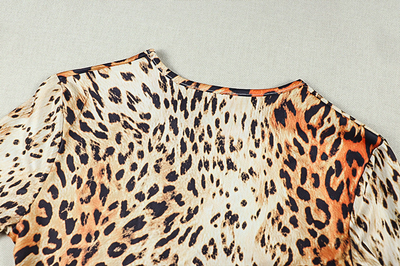 Leopard Print Long Sleeve Maxi Dress