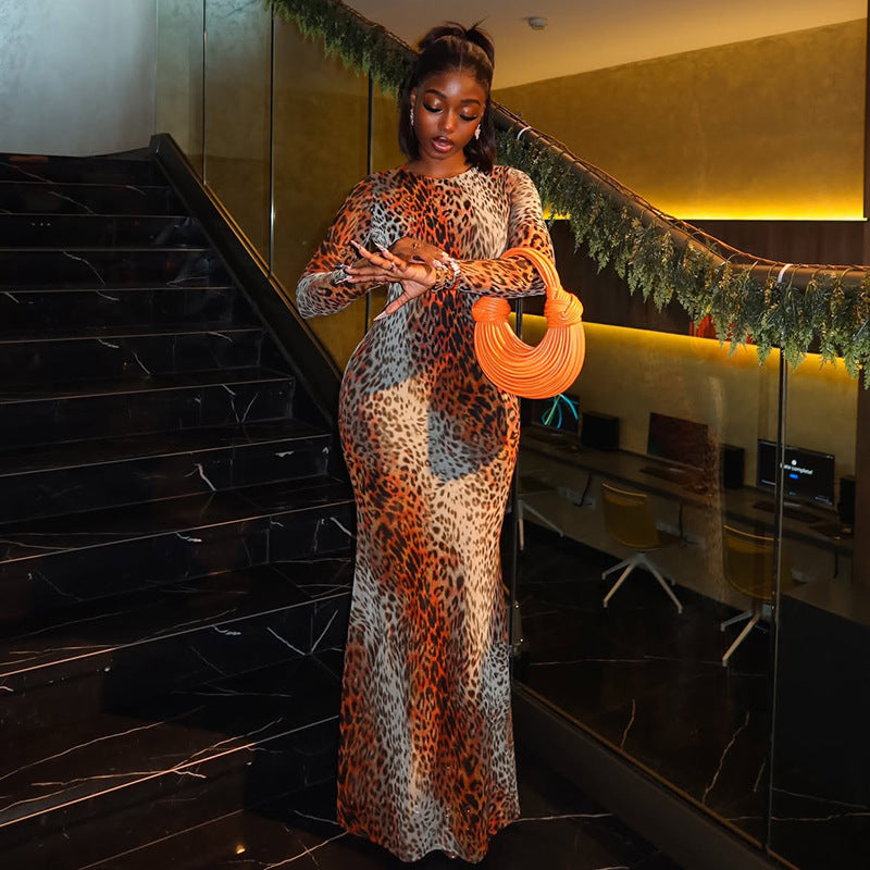 Leopard Print Long Sleeve Maxi Dress