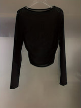 Sheer Long-Sleeve Top