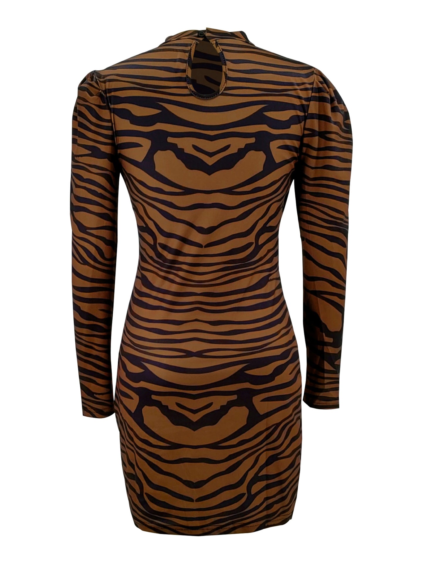 Animal Print Long Sleeve Bodycon Dress