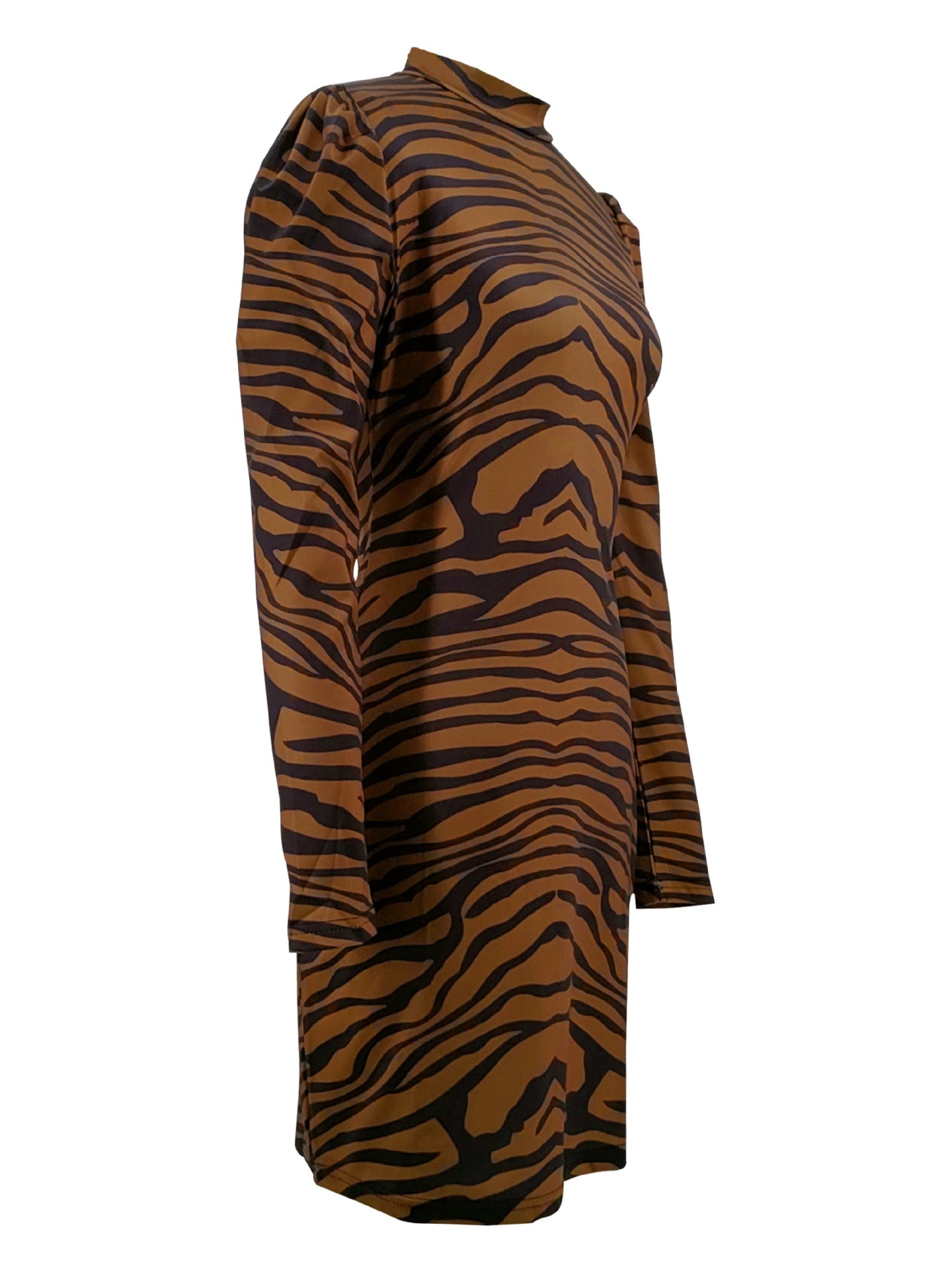 Animal Print Long Sleeve Bodycon Dress