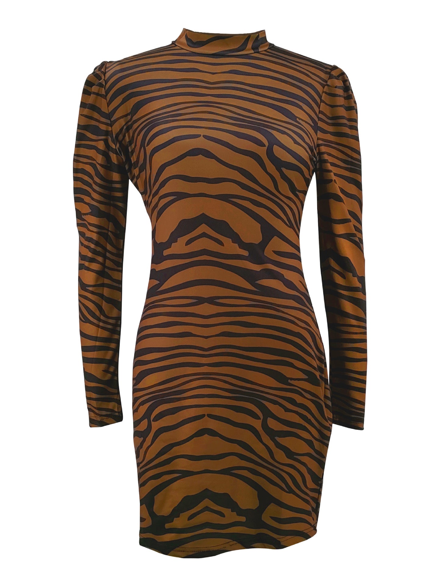 Animal Print Long Sleeve Bodycon Dress