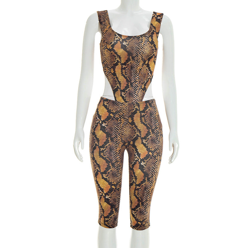 Snake Print Two-Piece Set with Details