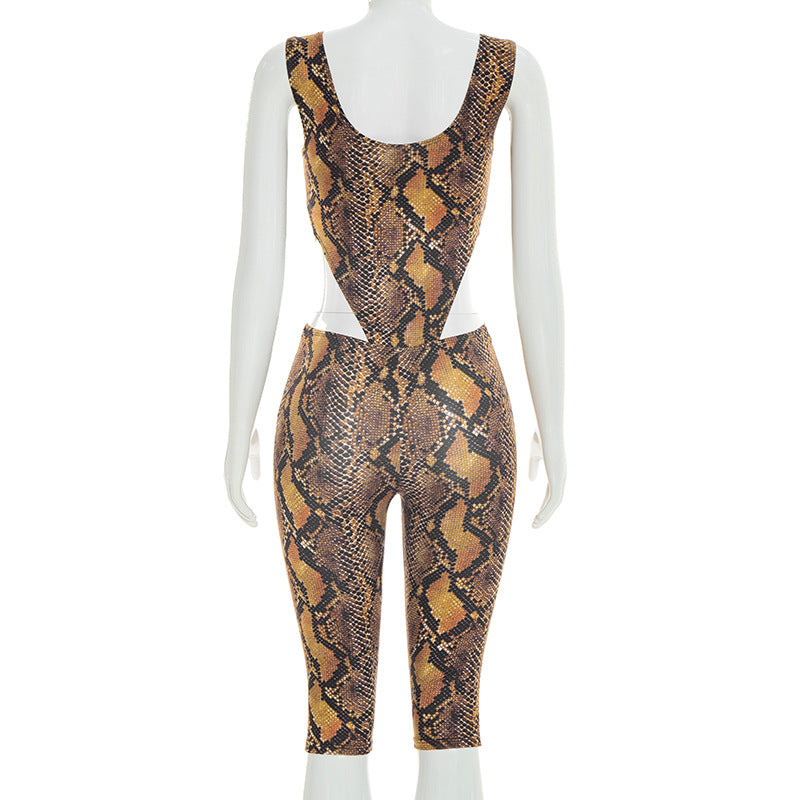 Snake Print Two-Piece Set with Details