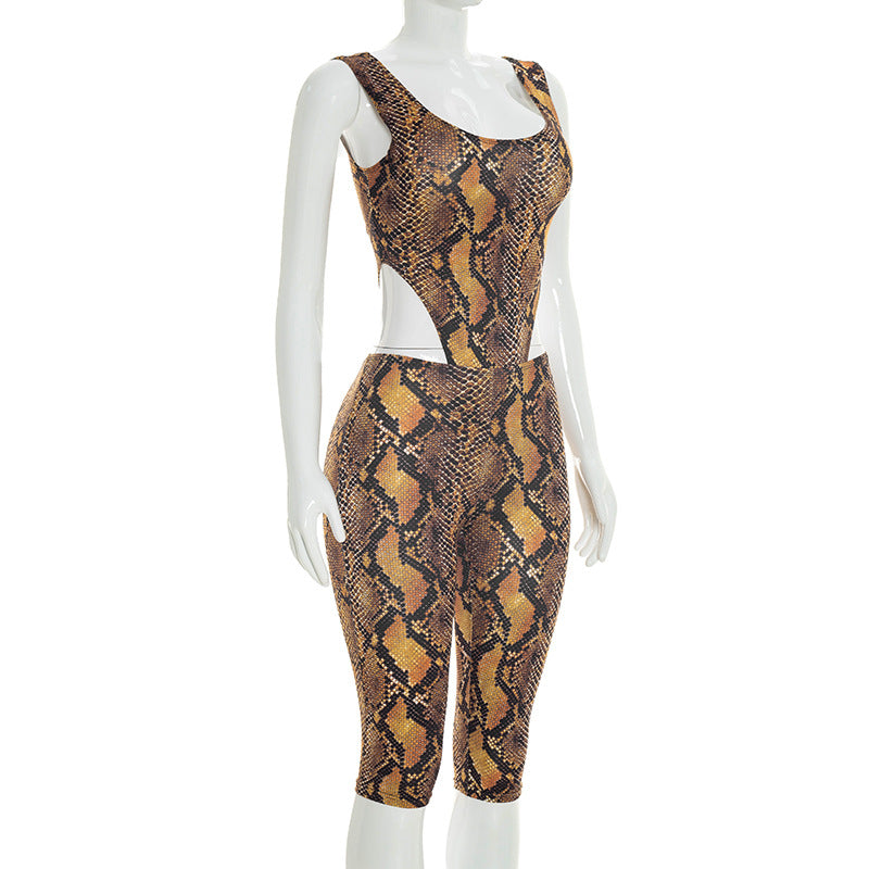 Snake Print Two-Piece Set with Details