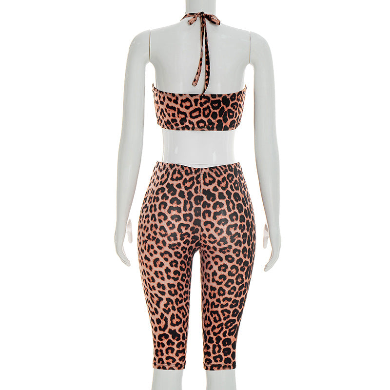 Leopard Print Bikini Set with High-W waist and Cropped Top