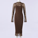 Lace Bodycon Dress with Sheer Long Sleeves