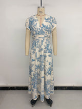 Elegant Toile Maxi Dress