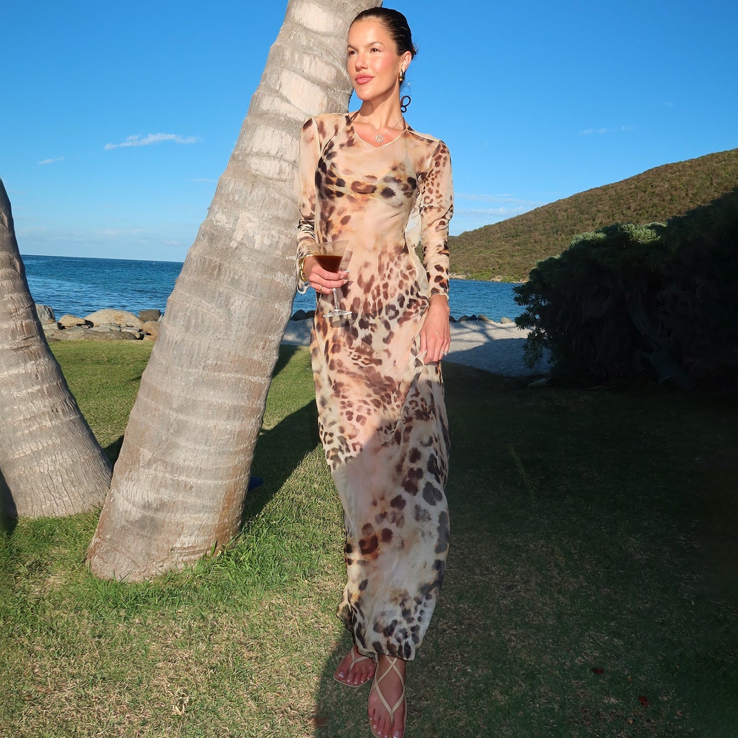 Sheer Mesh Leopard Print Open-Back Maxi Gown