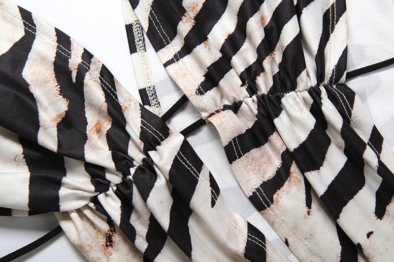 Wild Side Zebra Print Asymmetric Mini Dress