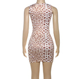 Leopard Print Bodycon Mini Dress