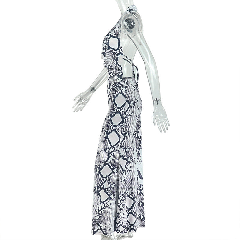 Women's Printed Bodycon Maxi Dress