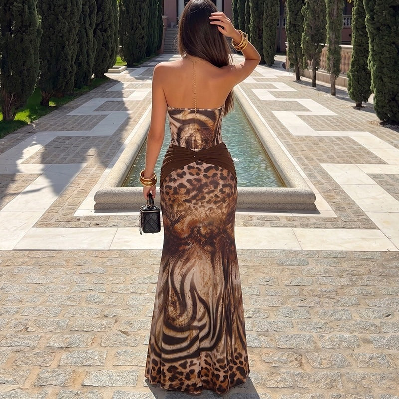 Women's Animal Print Corset & Maxi Skirt Set