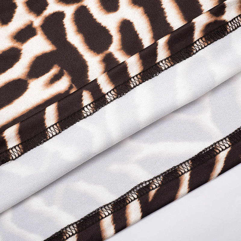 Women’s Animal Print Long Sleeve Mini Dress
