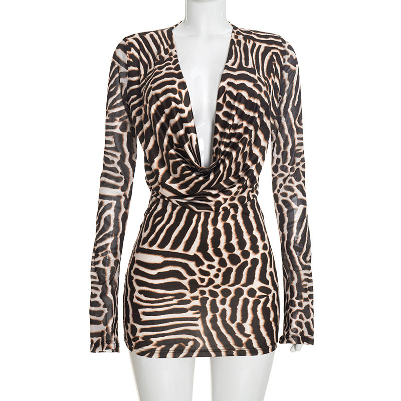 Women’s Animal Print Long Sleeve Mini Dress