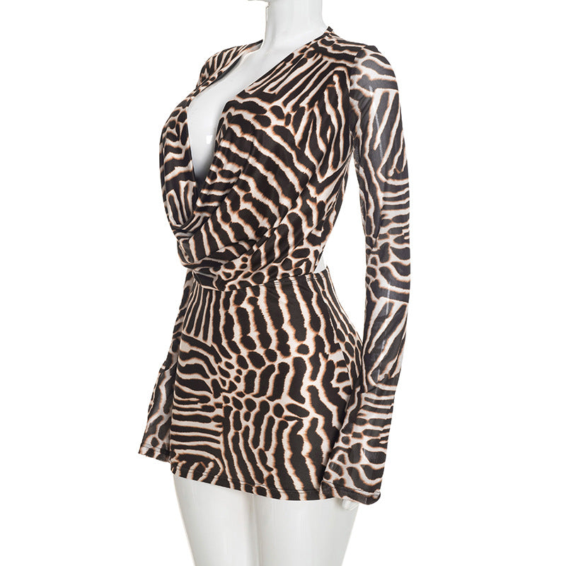 Women’s Animal Print Long Sleeve Mini Dress