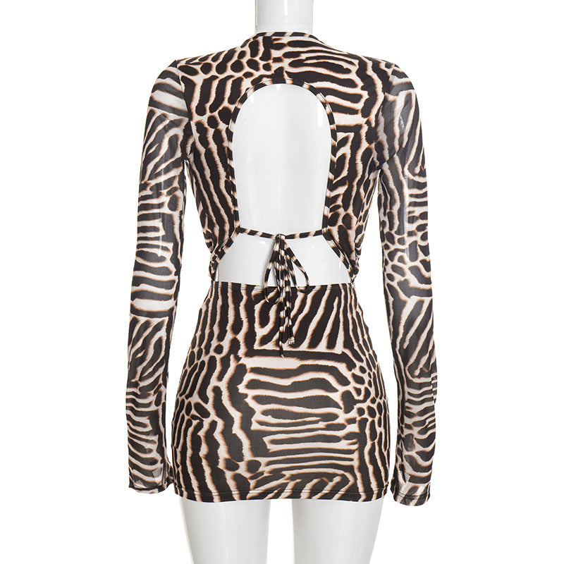 Women’s Animal Print Long Sleeve Mini Dress