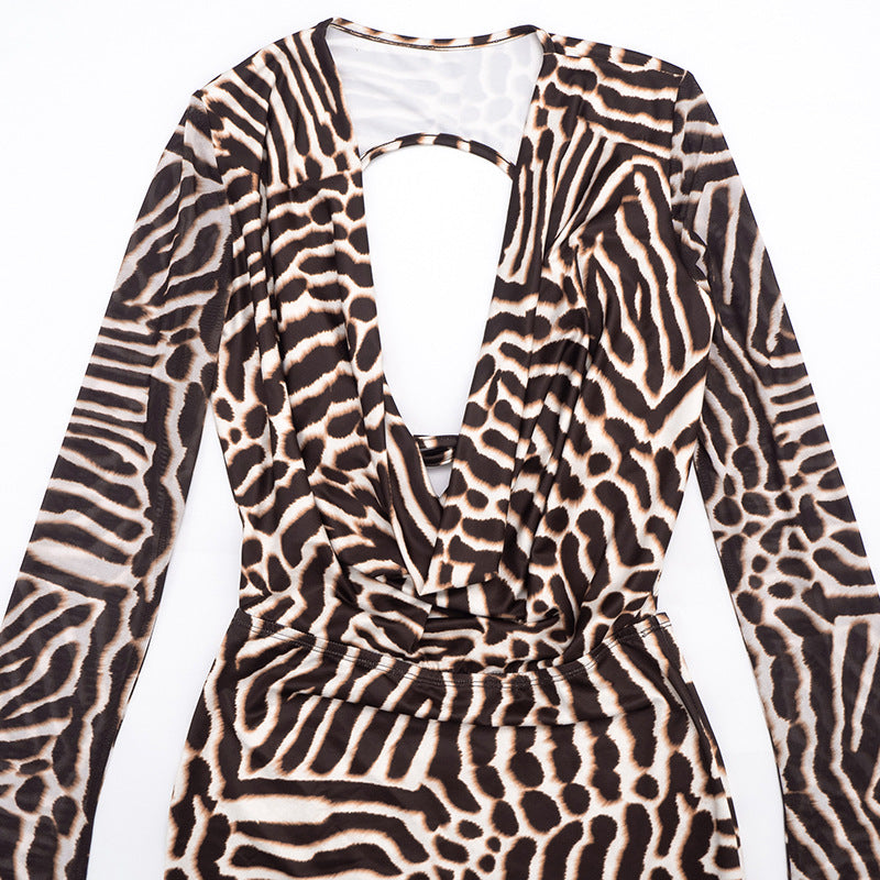 Women’s Animal Print Long Sleeve Mini Dress