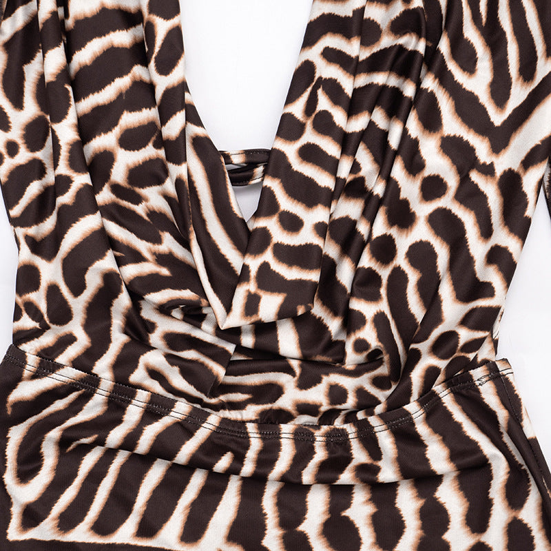 Women’s Animal Print Long Sleeve Mini Dress