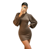Women’s Ruched High Neck Balloon Sleeve Mini Dress
