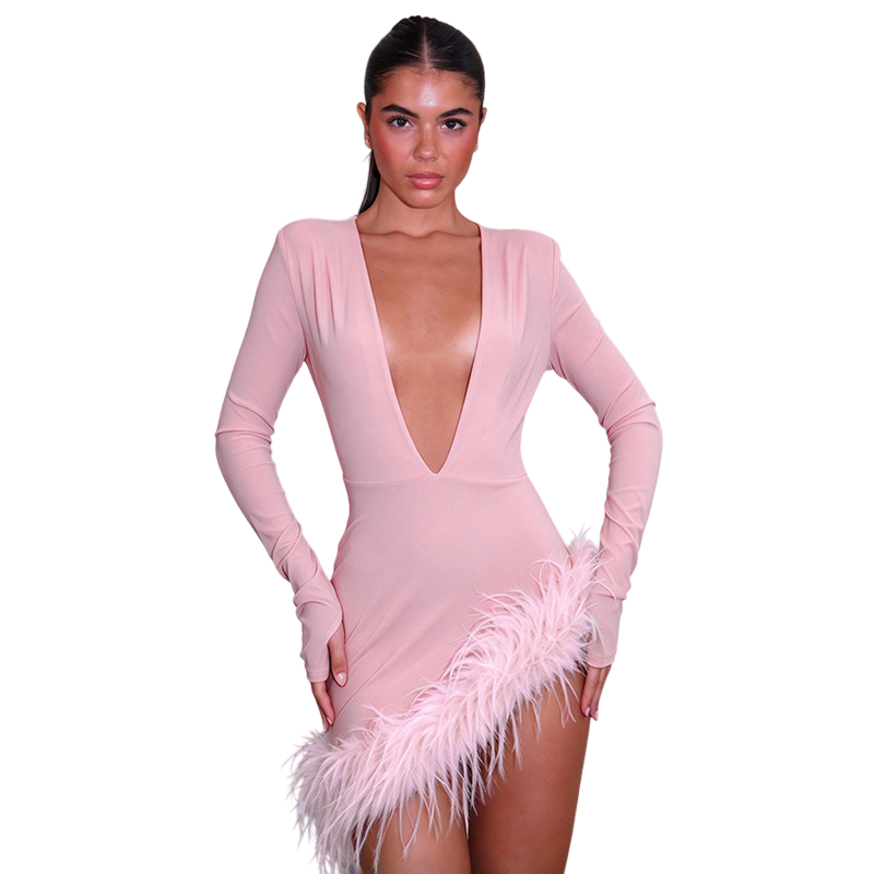 Women's Deep V Neck  Trim Mini Dress