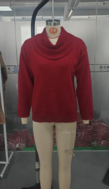 Women's Cowl Neck Long Sleeve Knit Top