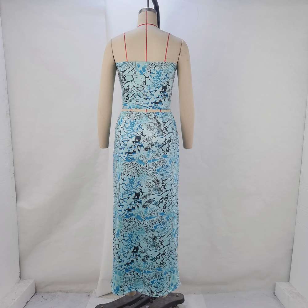 Strapless Animal Print Two-Piece Set image 4