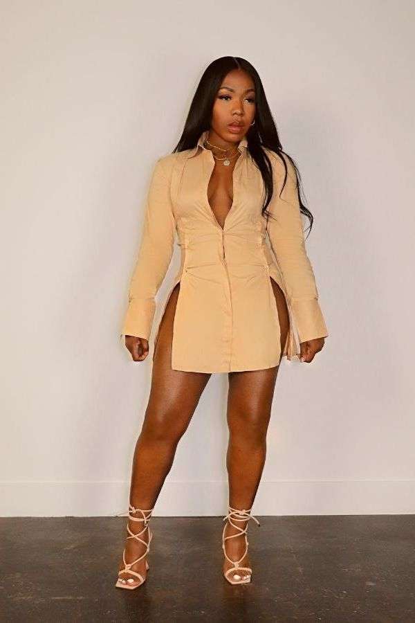 Long Sleeve Casual Blouse Shirt Dress image 1