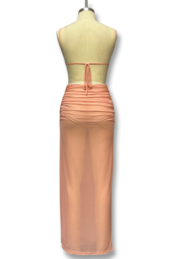 Luminous Elegance Sheer Maxi Dress image 7