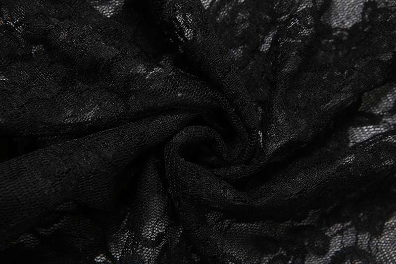 Leopard & Black Lace Sheer Maxi Dress image 5