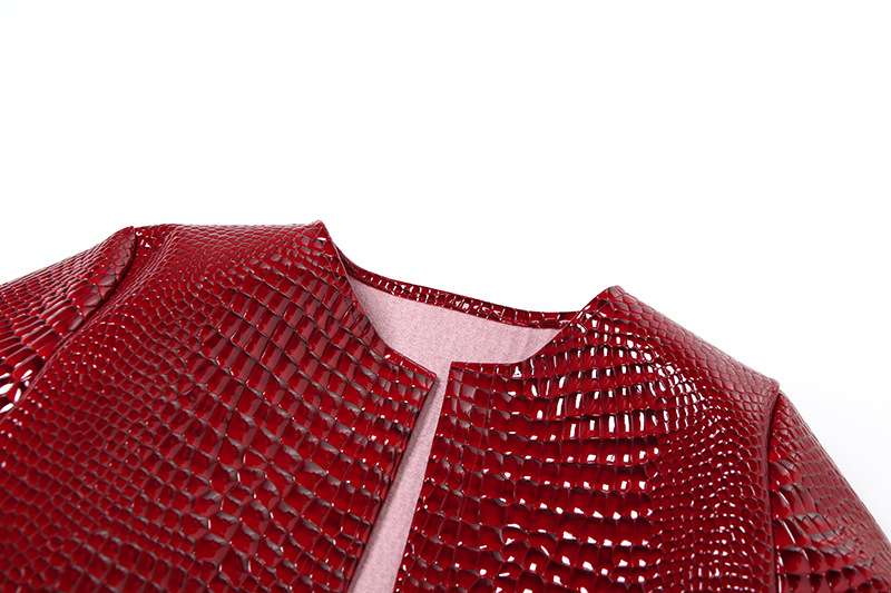 Short Round Neck Jacket image 4