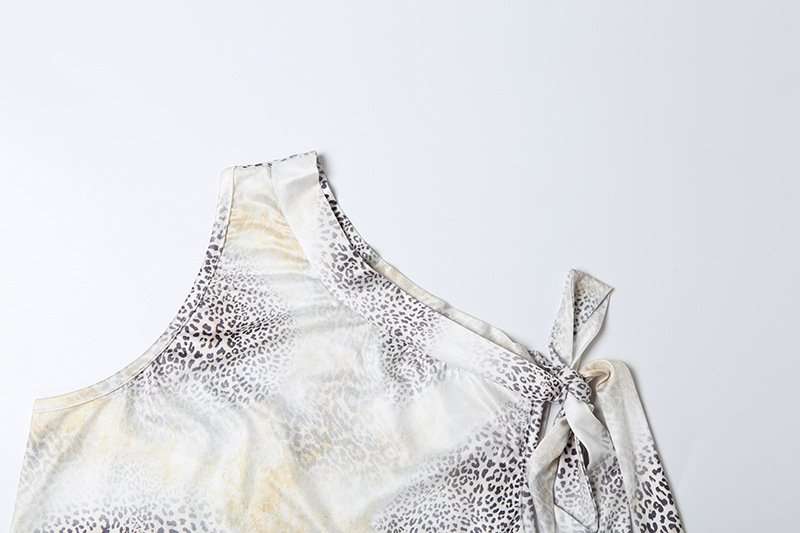 Leopard Print Two-Piece Set image 5