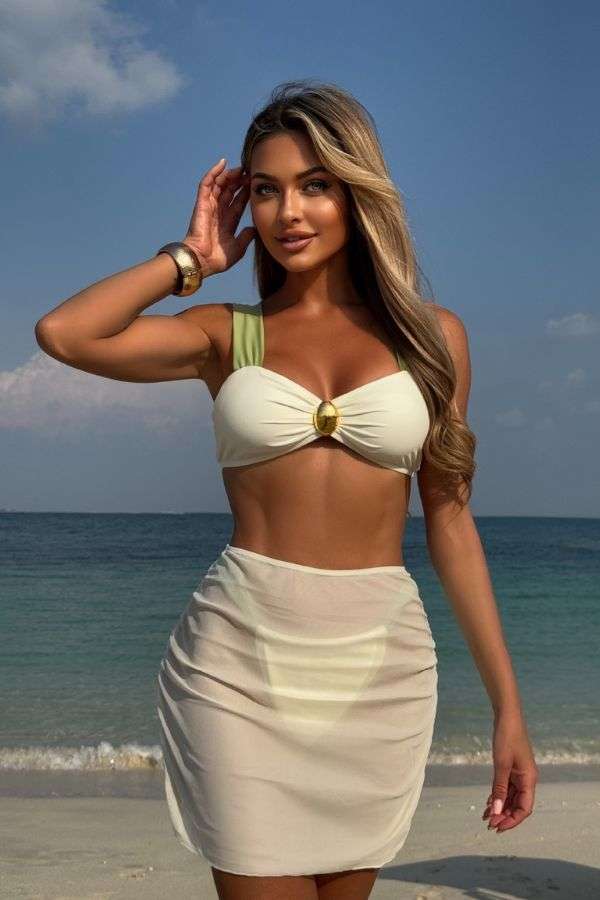 Elegant Two-Tone Bikini with Sheer Sarong image 0