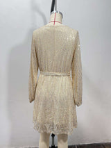 Sequins Glitter Mini Dress Cocktail Club Party image 6