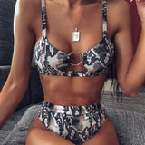 Leopard Print High Waisted Bikini Swimsuit - M, Multi Black image