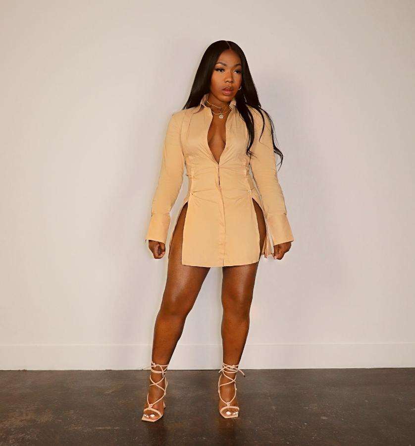 Long Sleeve Casual Blouse Shirt Dress - L, Navajo Beige image