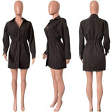 Long sleeve Deep V-neck Dress image 3