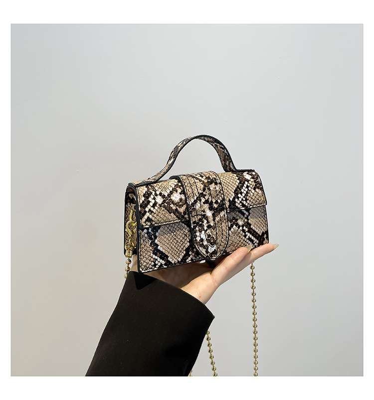 Stylish Snakeskin Pattern Mini Handbag with Chain Strap