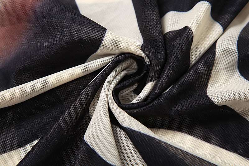 Zebra Print Maxi Dress with Plunge Neck image 4