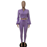 Stylish Zipper Crop Top & Jogger Set image 3