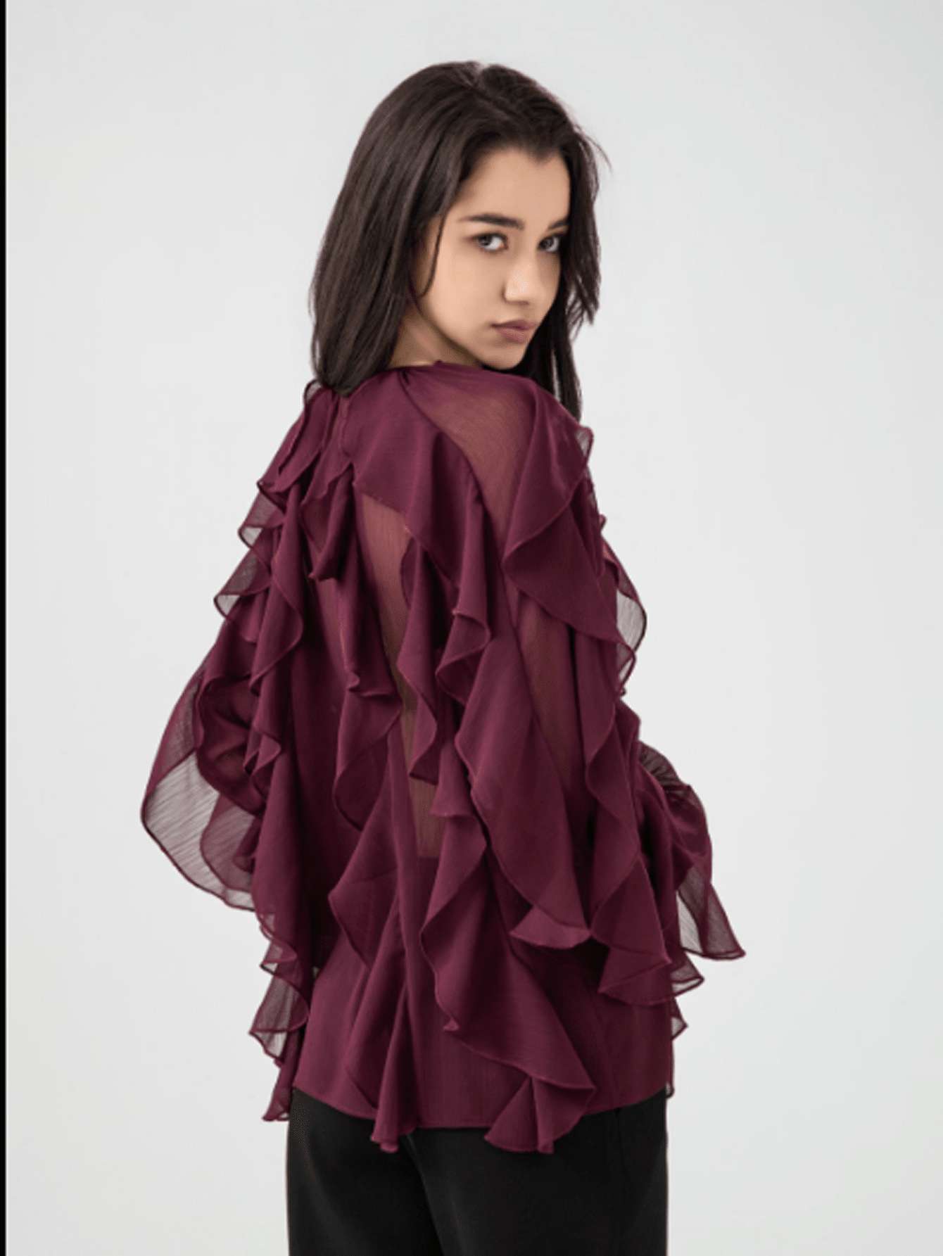 Elegant Ruffled Sheer Blouse image 6