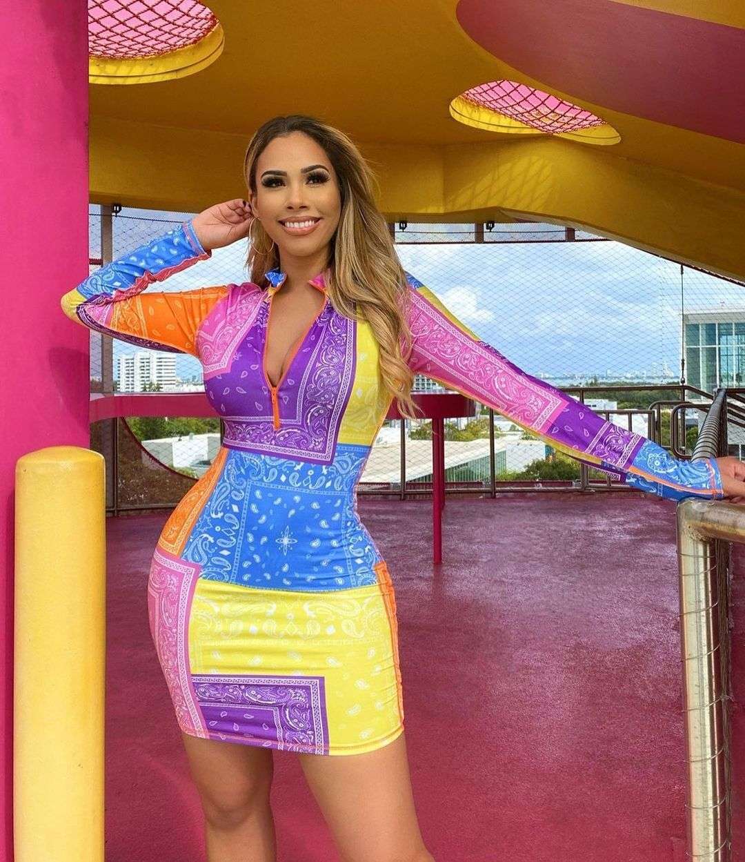 Womens Long Sleeve Zipper V Neck Printed Bodycon Dress - XL, Multi Purple image