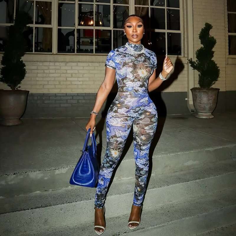 Print Mesh Bodycon  Jumpsuit - L, Blue image