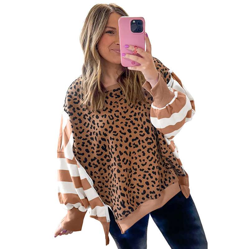 Leopard Print & Striped Casual Top image 1