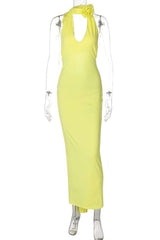 Radiant Rose Halter Maxi Dress image 7