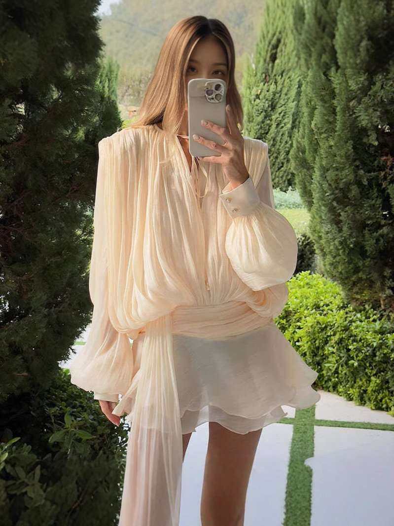 Elegant Sheer Dress with Tie Detail image 1