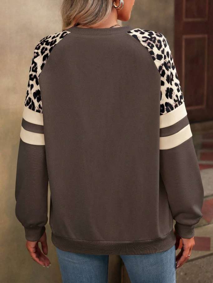 Leopard-Print Sleeve Colorblock Sweatshirt image 2