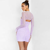 Ruched Bodycon Dress with Sheer Long Sleeves image 3