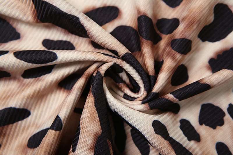 Leopard Print Bodycon Mini Dress image 4