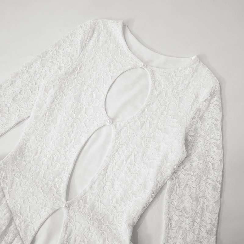 Lace Hollow Out Bodycon Mini Dress image 7